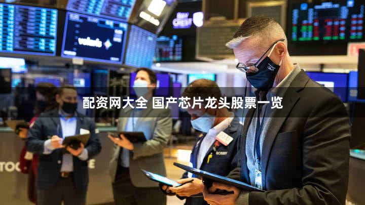配资网大全 国产芯片龙头股票一览