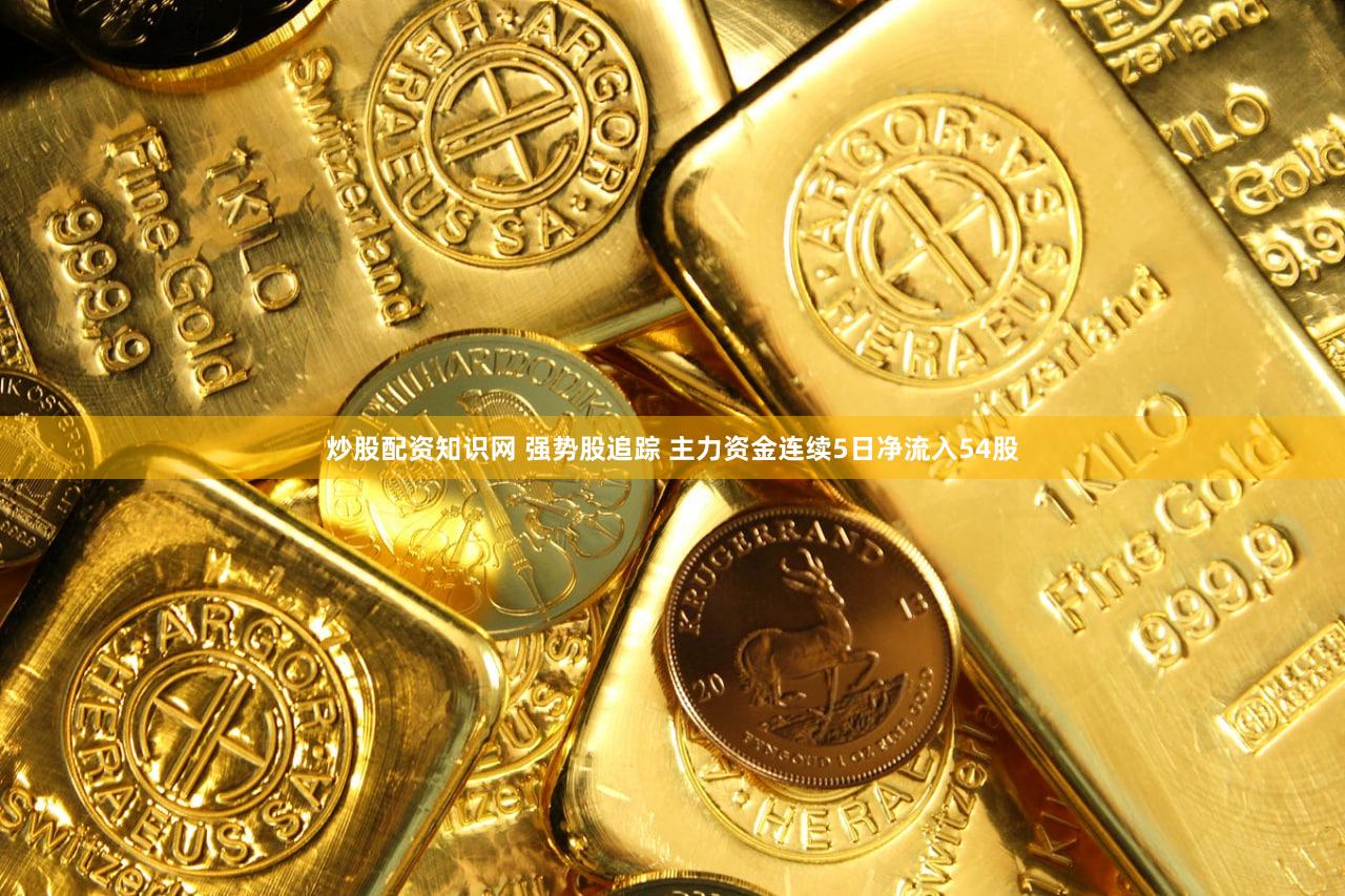 炒股配资知识网 强势股追踪 主力资金连续5日净流入54股
