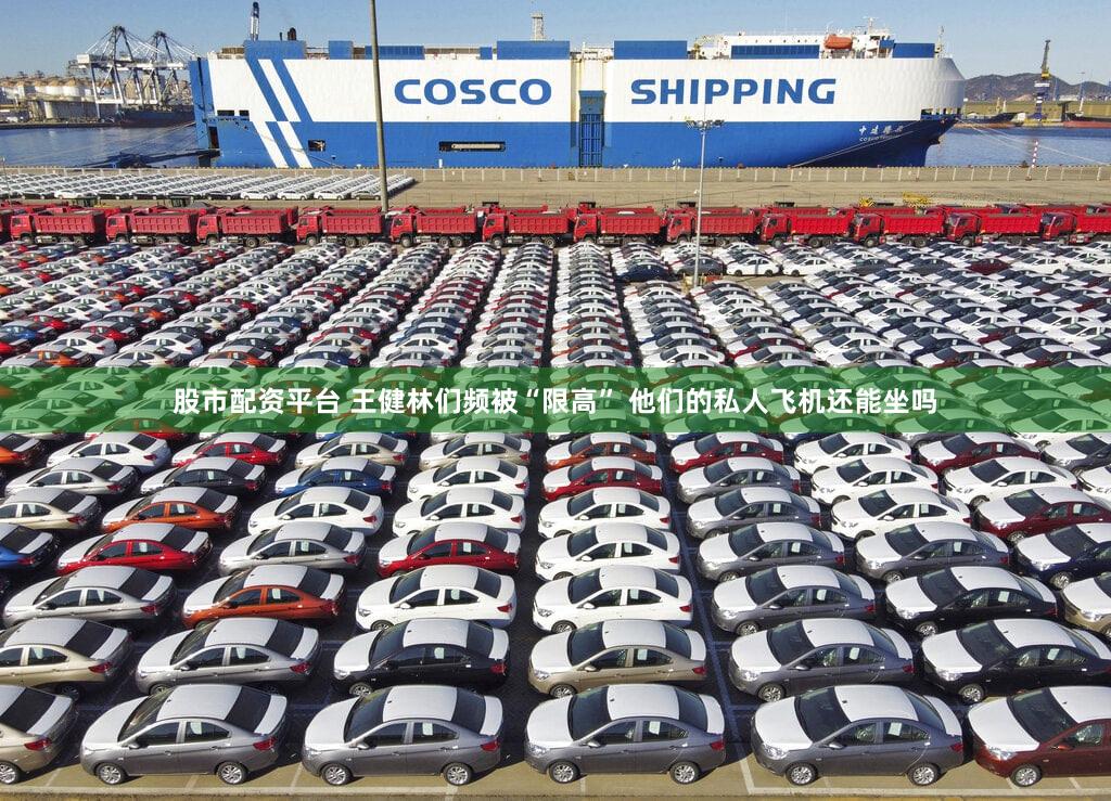 股市配资平台 王健林们频被“限高” 他们的私人飞机还能坐吗