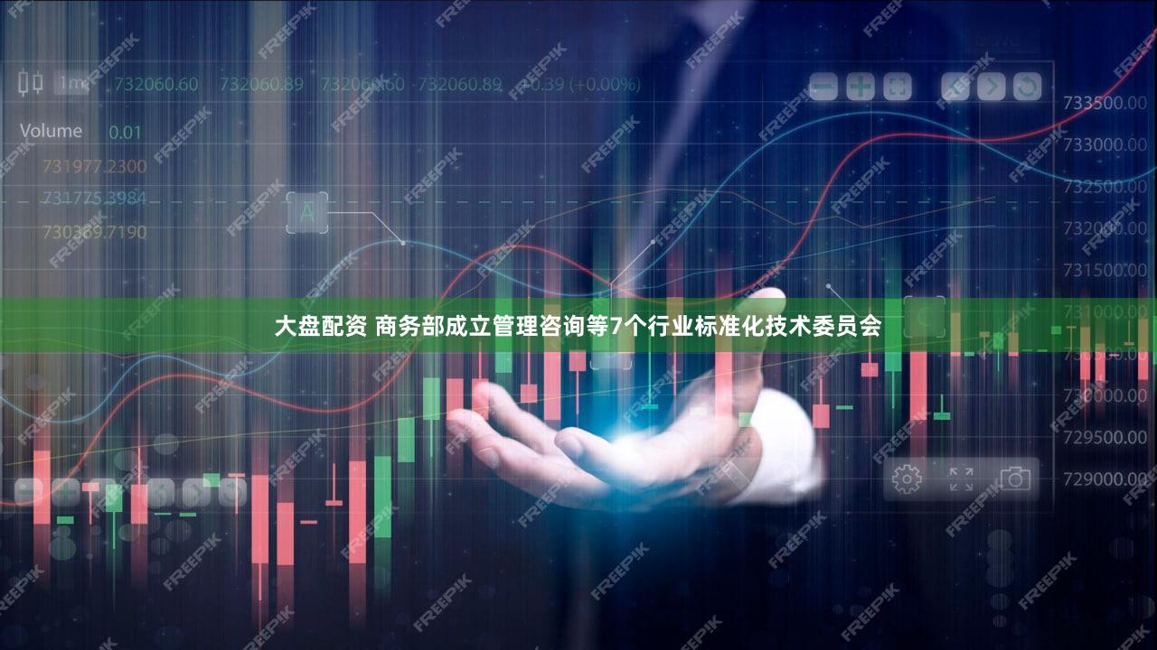 大盘配资 商务部成立管理咨询等7个行业标准化技术委员会