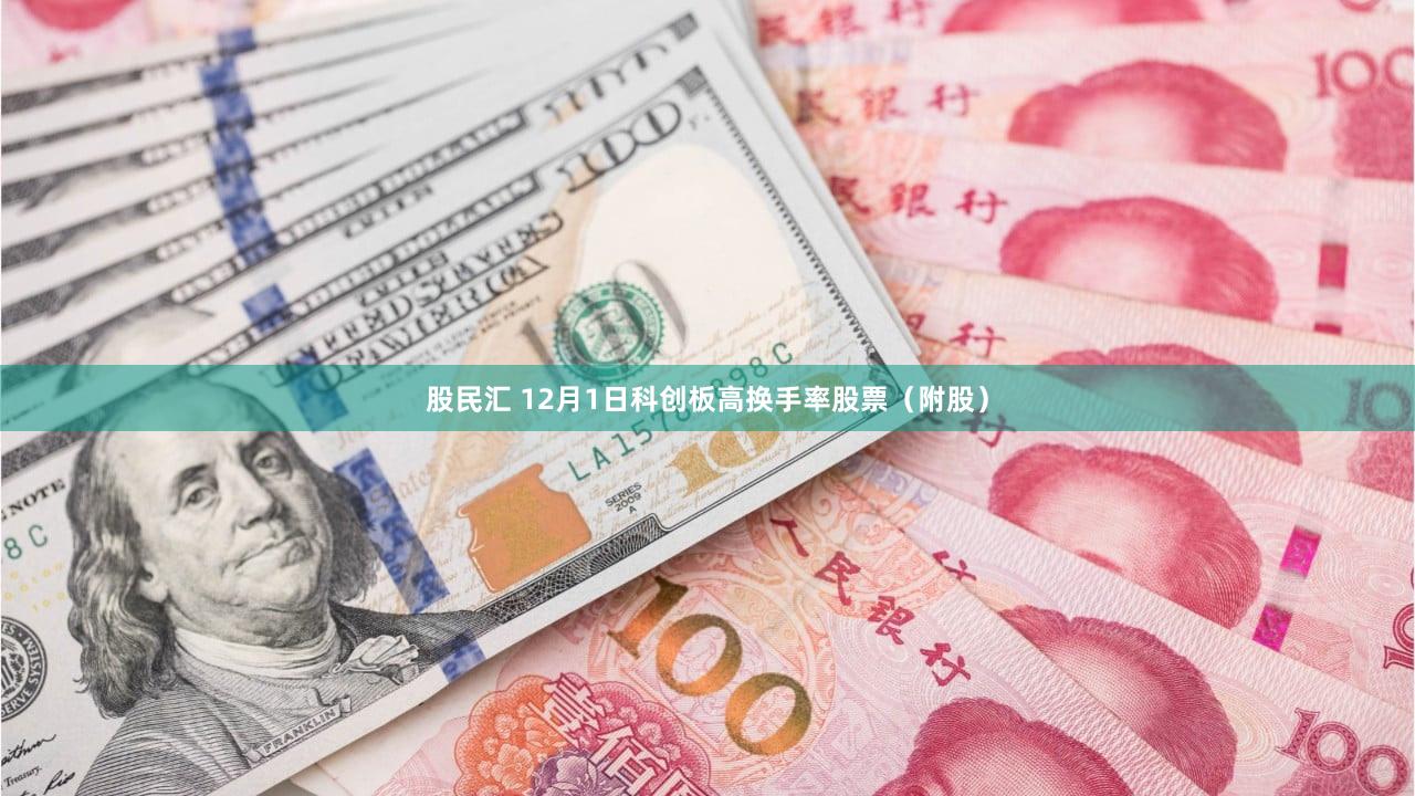 股民汇 12月1日科创板高换手率股票（附股）
