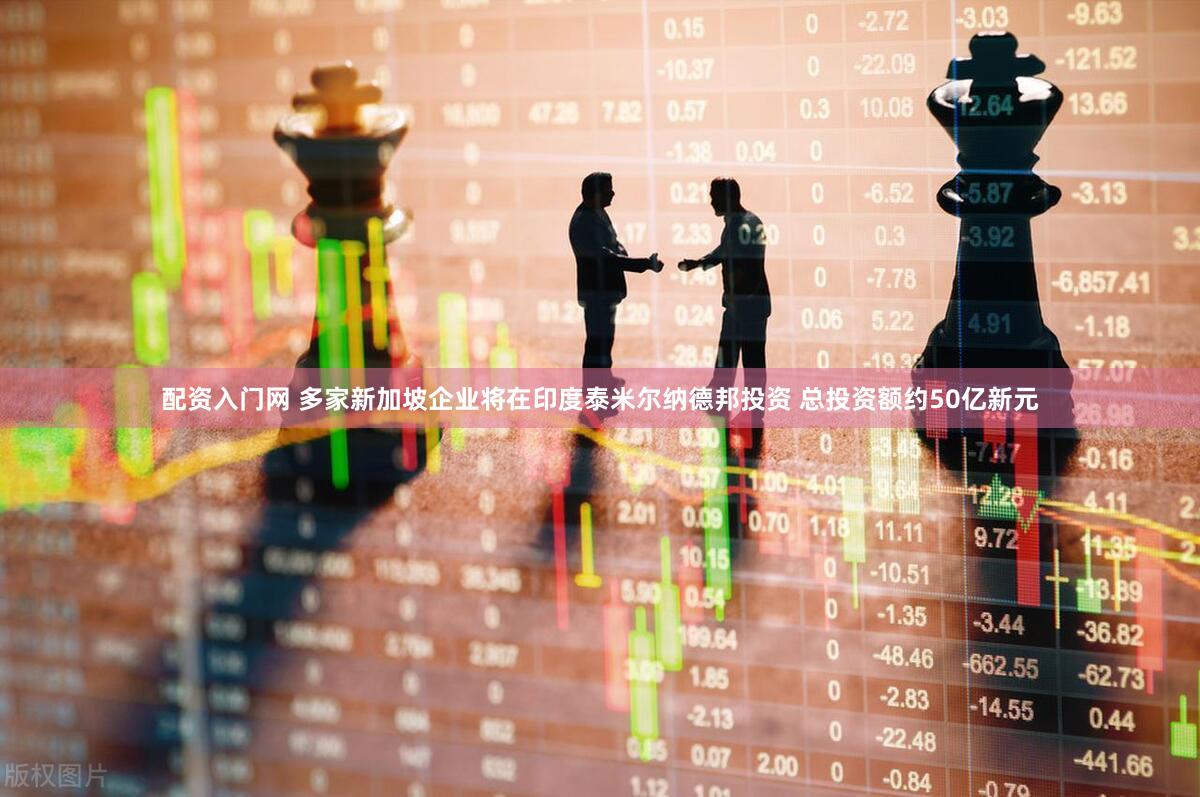 配资入门网 多家新加坡企业将在印度泰米尔纳德邦投资 总投资额约50亿新元