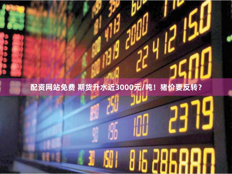 配资网站免费 期货升水近3000元/吨!猪价要反转?