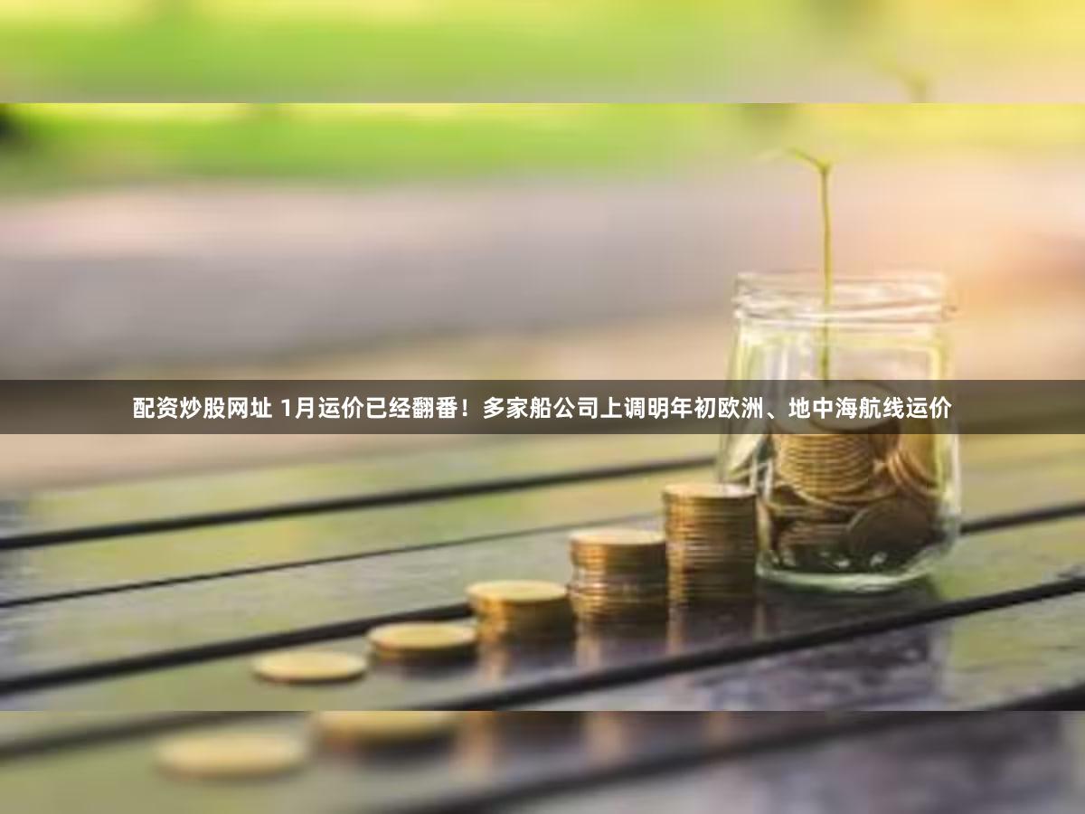 配资炒股网址 1月运价已经翻番！多家船公司上调明年初欧洲、地中海航线运价