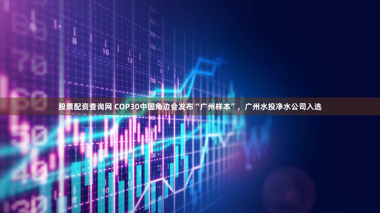 股票配资查询网 COP30中国角边会发布“广州样本”，广州水投净水公司入选