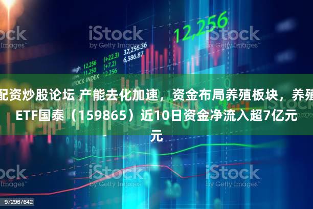 配资炒股论坛 产能去化加速，资金布局养殖板块，养殖ETF国泰（159865）近10日资金净流入超7亿元