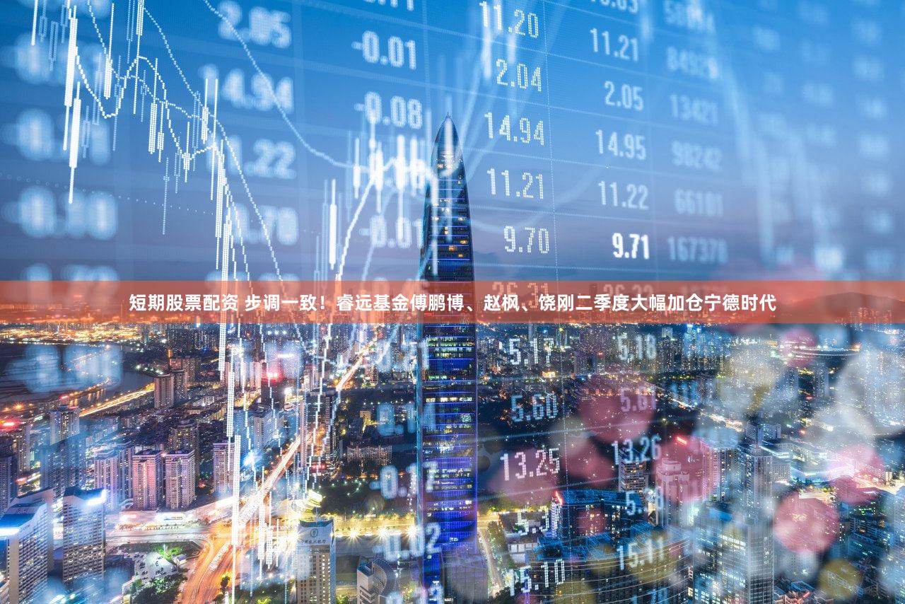 短期股票配资 步调一致！睿远基金傅鹏博、赵枫、饶刚二季度大幅加仓宁德时代